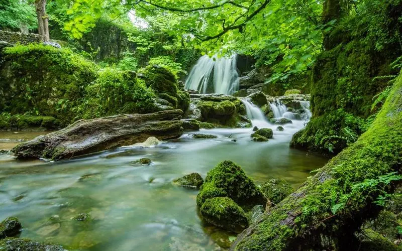 智能系统稳定性科技